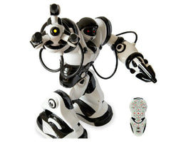 robot toy